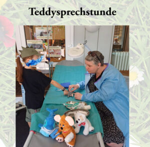 Sommerfest Teddybar-Untersuchung
